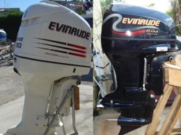 Evinrude repair
